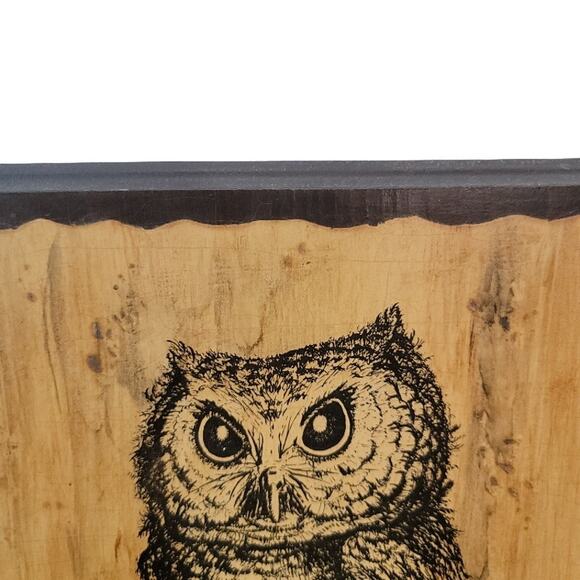Screech Owl Wood Art Wall Decor Signed 11" Custom Artwork - Picture 5 of 10
